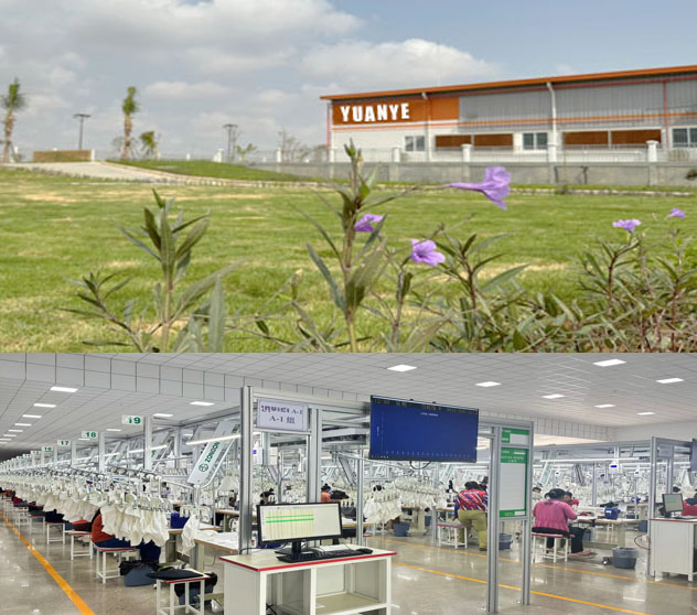 1735871863987652.jpg 1735638471646863.jpg